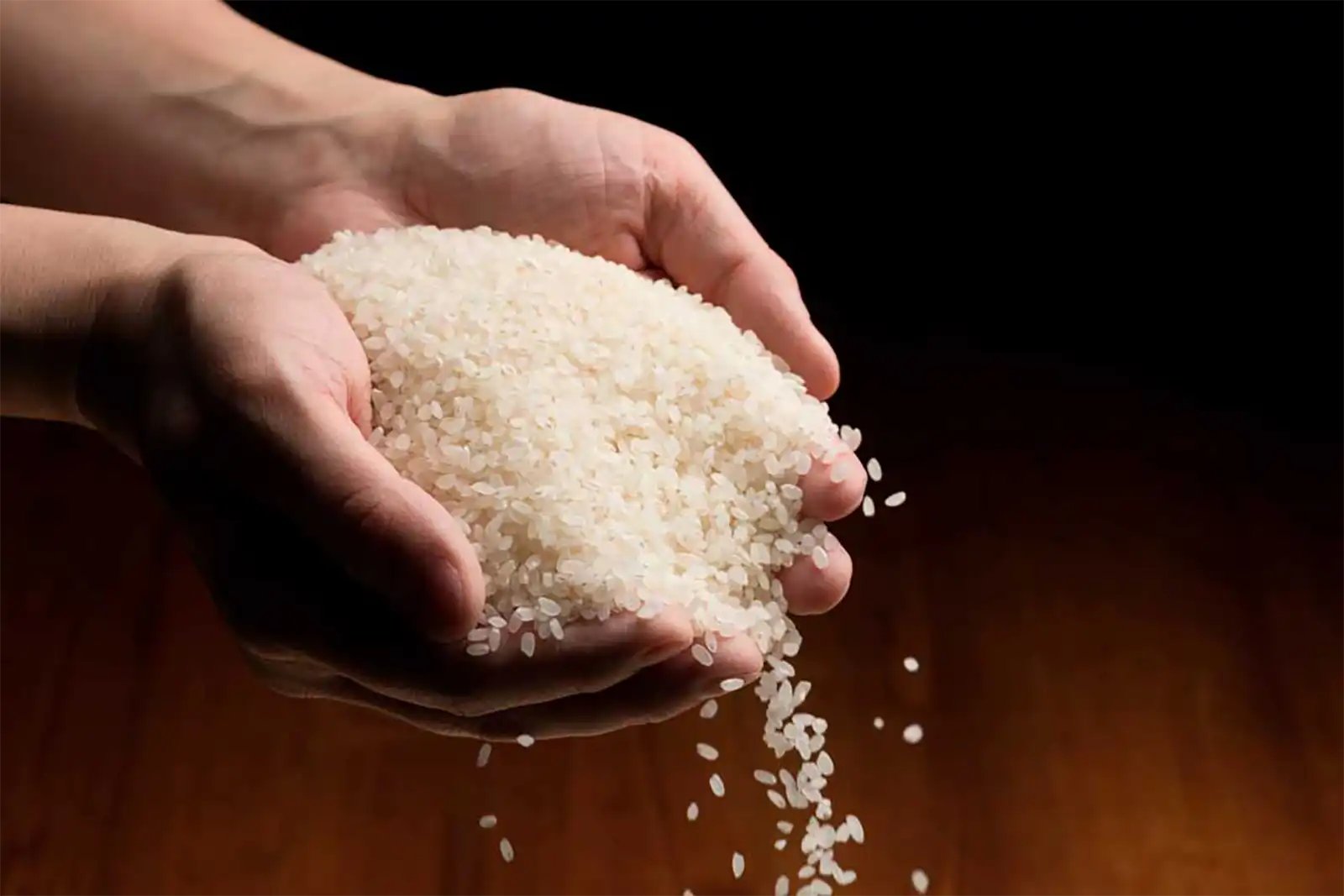 最高級の白いお米