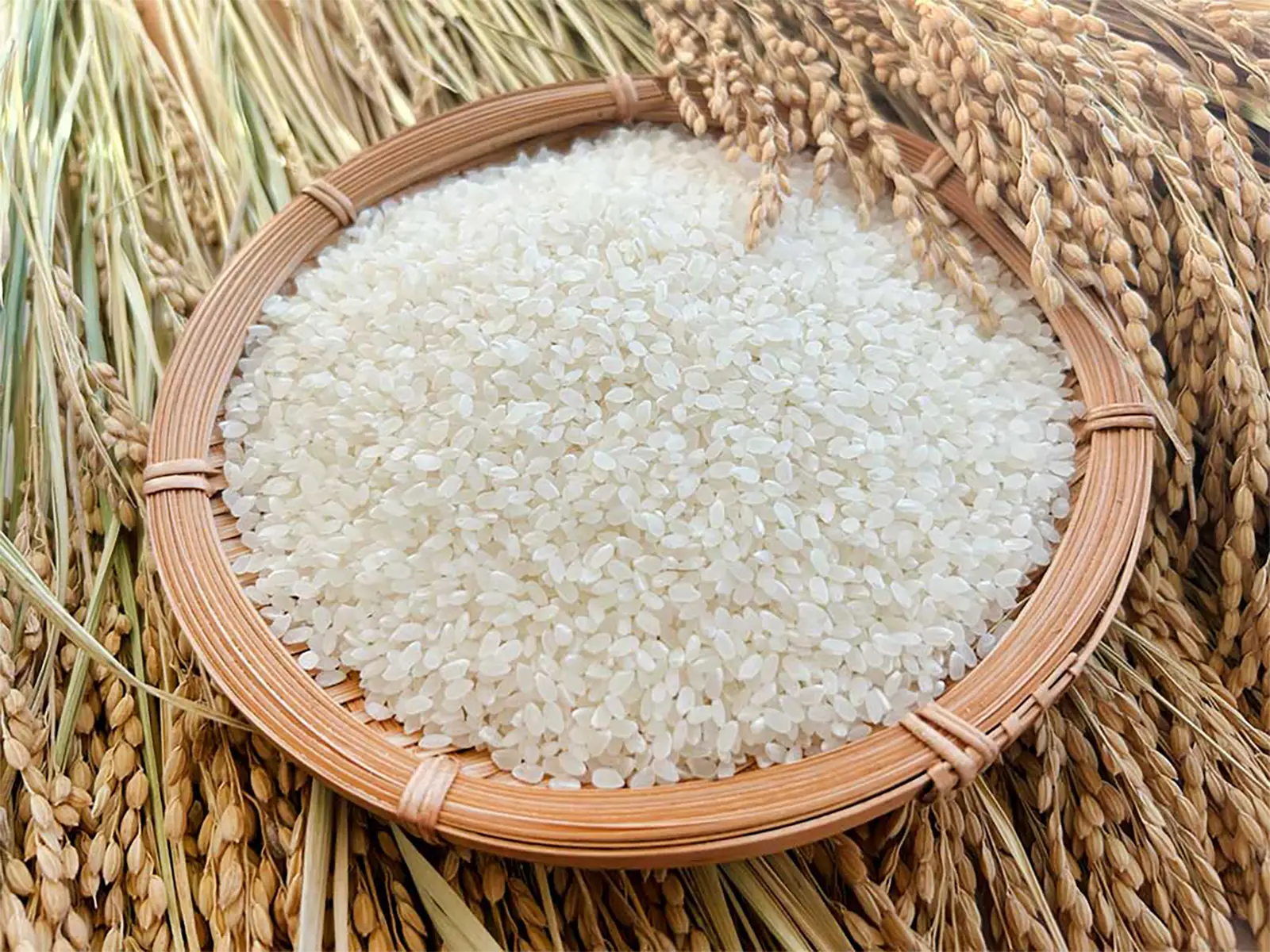 厳選されたお米